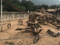 -西安秦岭野生动物园