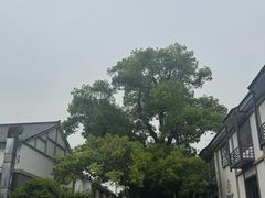 -灵顺寺
