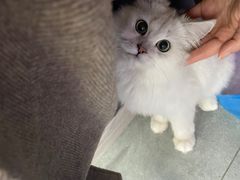 -极木²邸 人与宠物·互动社区