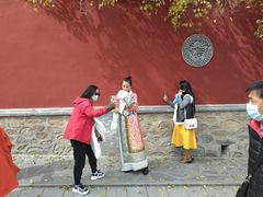 -塔尔寺-菩提树