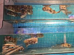 -驻海渔市(置信店)