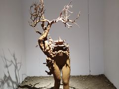 -苏州本色美术馆