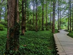 -国家植物园南园