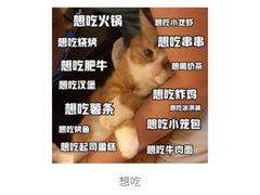 -麦当劳(番禺易发商业街店)