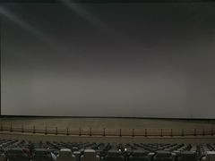 -天幕新彩云国际影城(激光巨幕店)