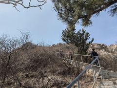 -金龙寺国家森林公园