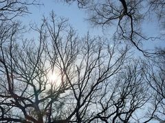 -北陵公园