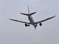 -空港花田景区