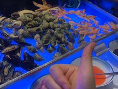 -郑州富力万达文华酒店·云端美食汇自助餐厅