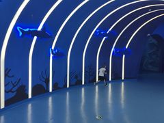 -上海海昌海洋公园