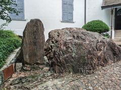 -上海佘山国家森林公园西佘山园