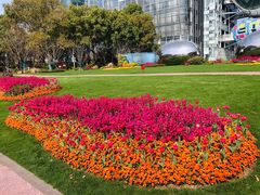 -北外滩滨江绿地