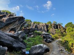-玉石林风景区