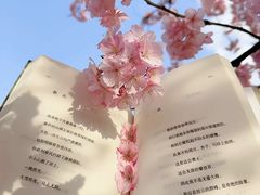 -首开·龙湖成都西宸天街