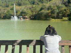 -广州白江湖森林公园