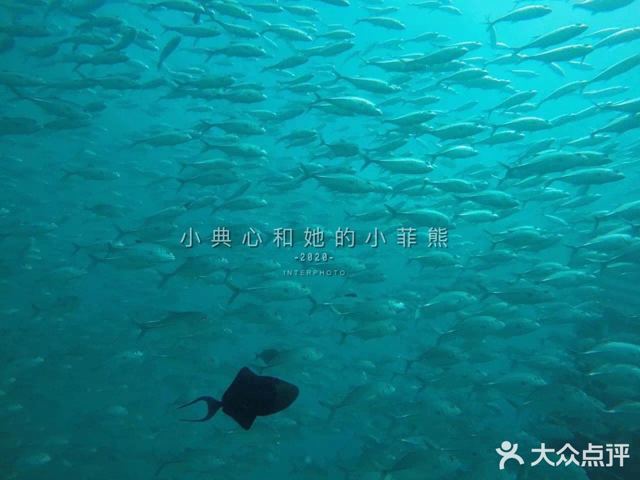 国内好像是没有到仙本那的直达航班
