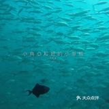 国内好像是没有到仙本那的直达航班