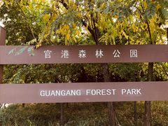 -官港森林公园