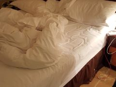 -成都天府丽都喜来登饭店