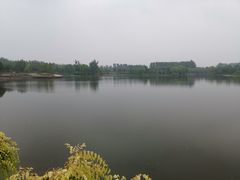 -东郊湿地公园