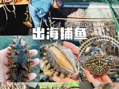 -巽寮湾