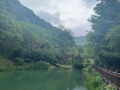 -桃花岭景区