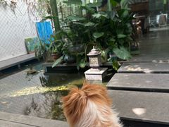 -绿房子方寸咖啡(星海名城店)