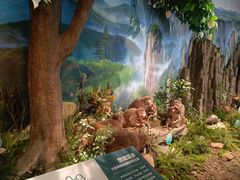 -湖南省地质博物馆