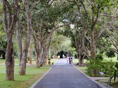 -中国科学院西双版纳热带植物园