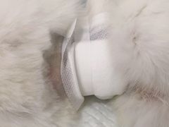 -灵美宠物诊所