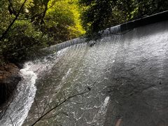 -鼎湖山风景区