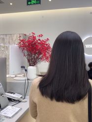 -YESIDO椰岛造型