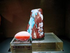 -中国地质博物馆