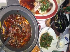 -院里寻菜·精致庭院菜(观沙岭店)