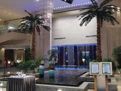 -常州环球恐龙城维景国际大酒店