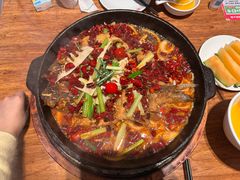 -老板恋上鱼(恒隆广场店)