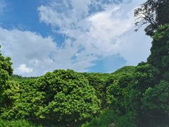 -阳台山森林公园