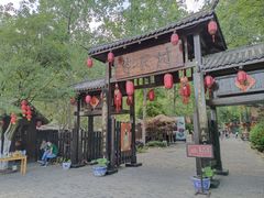 -合肥滨湖国家森林公园