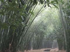 -潜山国家森林公园