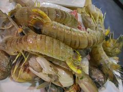 -蒙肥羊·酸汤潮牛·鲜牛肉火锅烤肉自助(岗顶店)