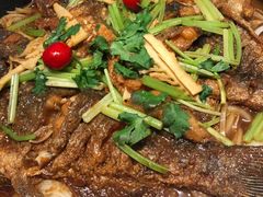 -老板恋上鱼(印象城店)