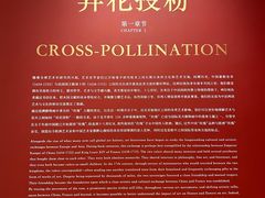 -德基艺术博物馆