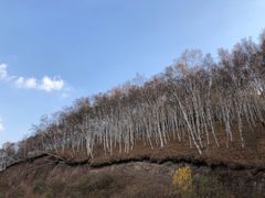 -塞罕坝国家级自然保护区