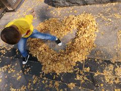 -百林公园-两江幸福广场