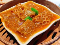 -点都德·毕德寮
