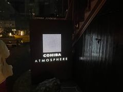 -Cohiba Atmosphere高希霸魅力俱乐部(国贸店)