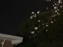 -泰合玺·精油疗愈SPA(南京光环花园城店)