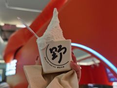-野人先生现做冰淇淋(北京王府井东方新天地店)