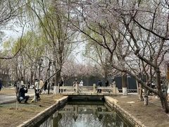 -春风习习