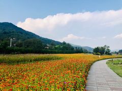 -玉华宫景区
